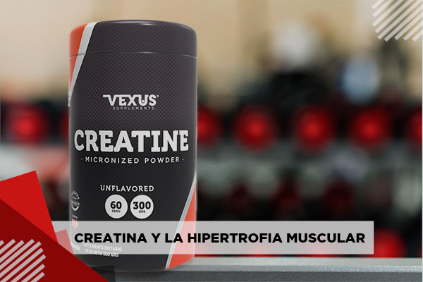 CREATINA BANNER